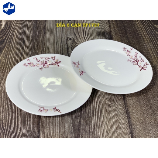 Đĩa Cạn 6 Mã TP 1737