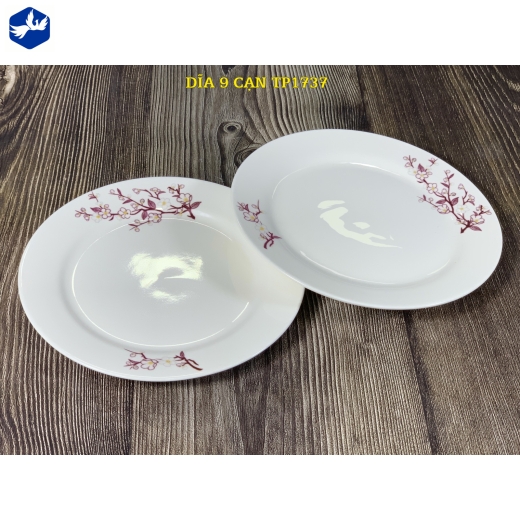 đĩa sứ cạn 9 inch - nhánh hoa mai đẹp - TP1737